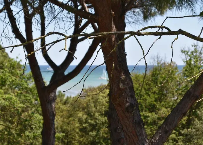 Hotel Stella Del Mare 3*