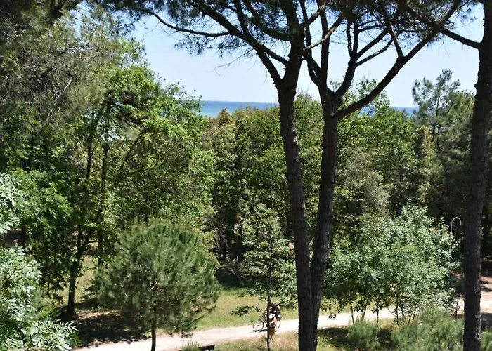 Hotel Stella Del Mare 3*