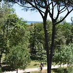 Hotel Stella Del Mare 3*