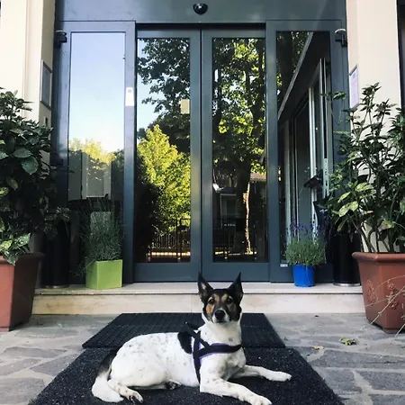 海之星酒店 酒店