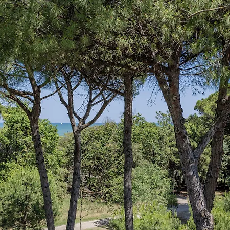 Hotel Stella Del Mare 3*