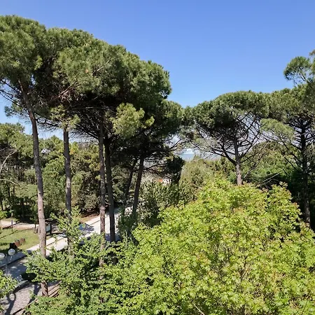 海之星酒店 3* 切尔维亚