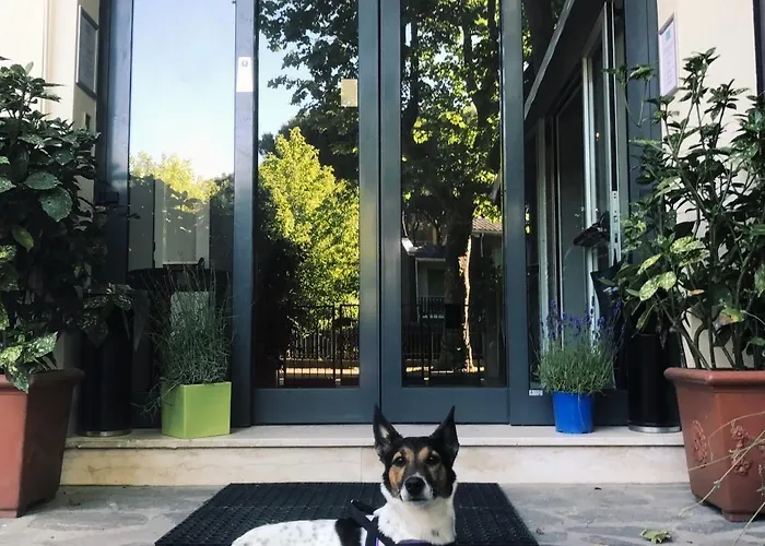 Stella Del Mare Ξενοδοχείο