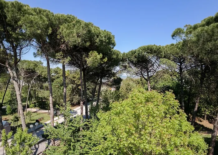 Stella Del Mare 3* Cervia